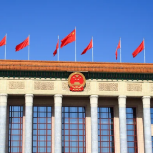 AustCham in the Media | Comments on 2025 Government Work Report